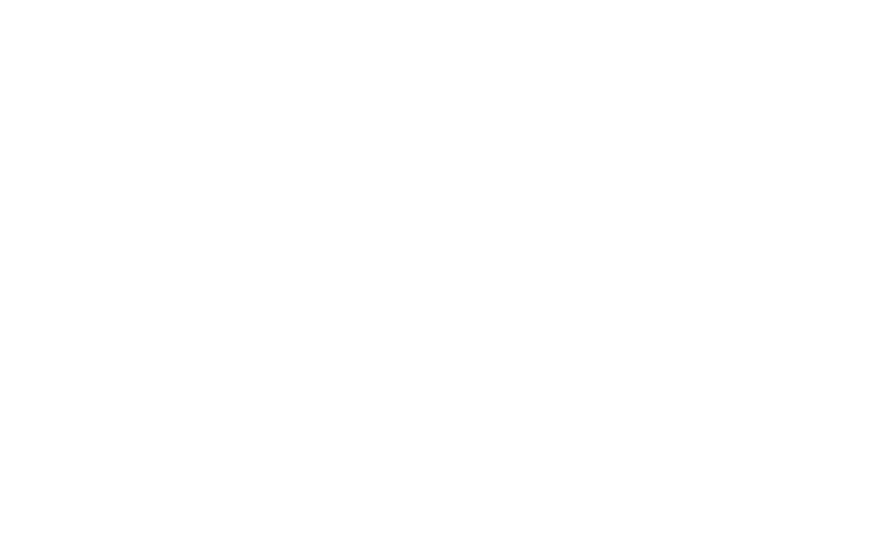Network Logo